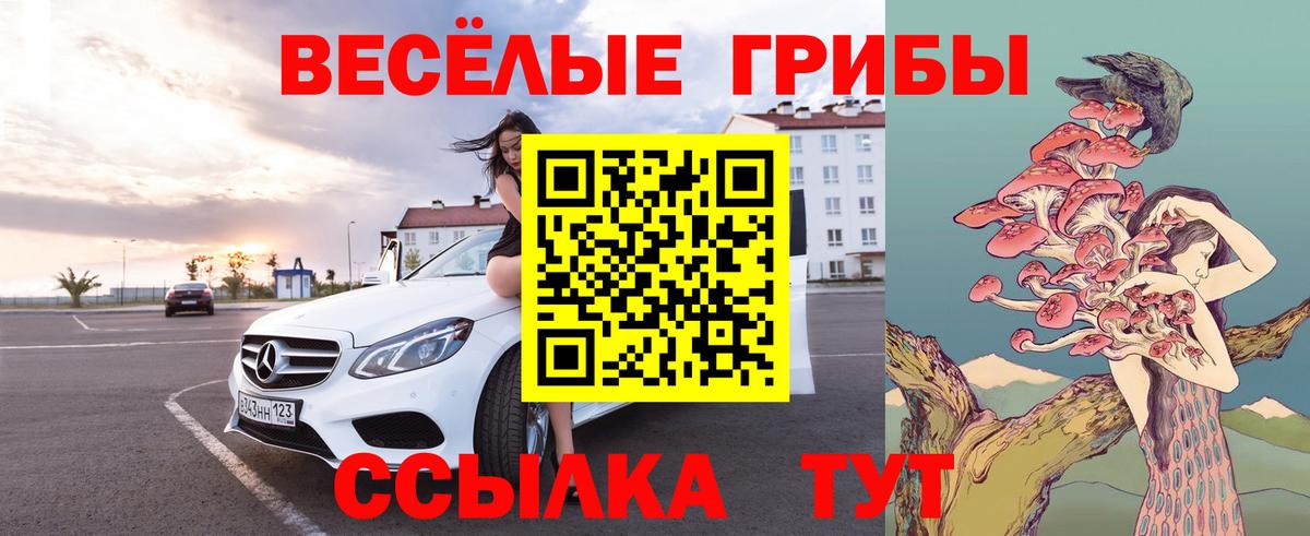 Орехово-Зуево  Псилоцибиновые грибы GOLDEN TEACHER  Вход с VPN  Псилоцибиновые грибы MAGIC MUSHROOMS 